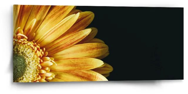 Sablio Obraz Žltá gerbera - 110x50 cm