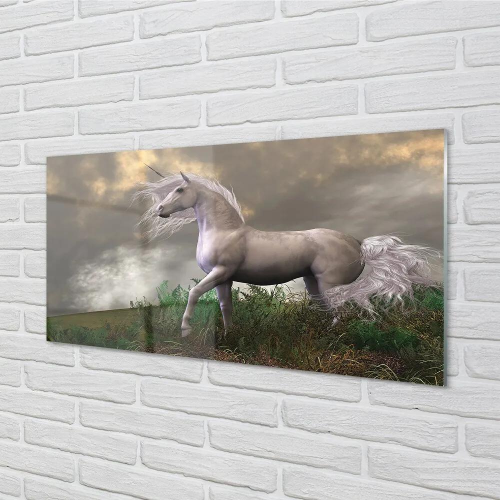 Sklenený obraz Unicorn mraky 140x70 cm