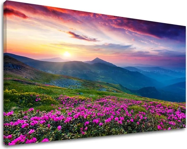 Obraz na stenu SLOVENSKO