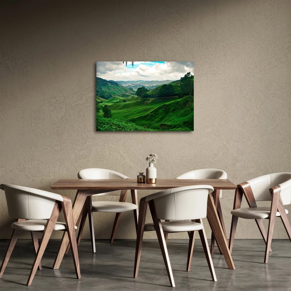 Obraz - Čajové plantáže v Malajzii (70x50 cm)