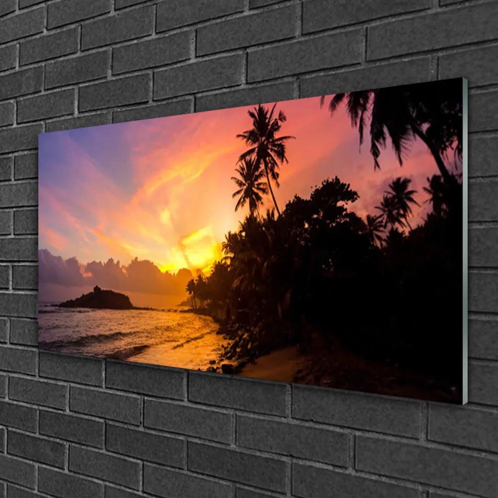 Skleneny obraz More slnko palmy krajina 125x50 cm