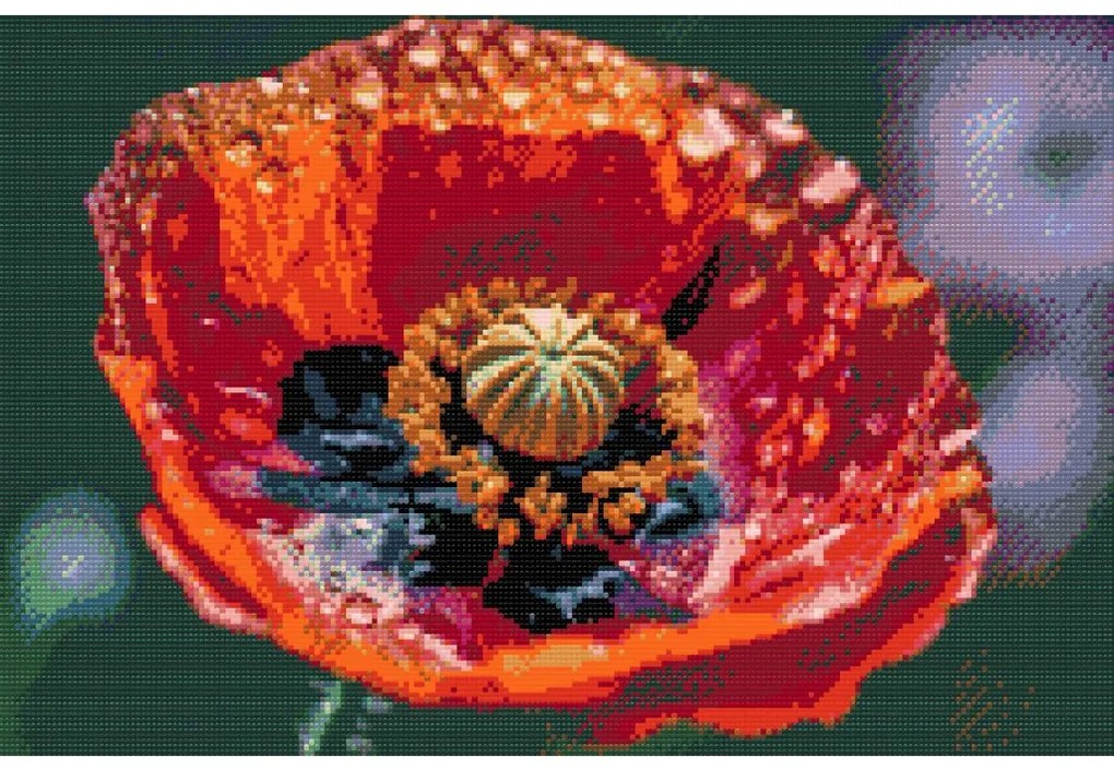 Gario Diamantové maľovanie Kvet maku Rozmery: 80 x 60 cm, Rámovanie: Iba zrolované plátno, Diamanty: Okrúhle