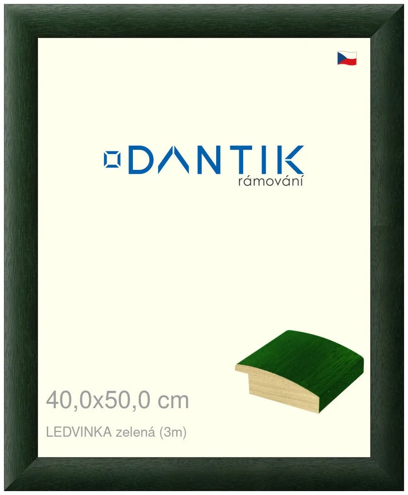 DANTIK rám na obraz 40x50 | LEDVINKA zelená (Sklo Čiré)