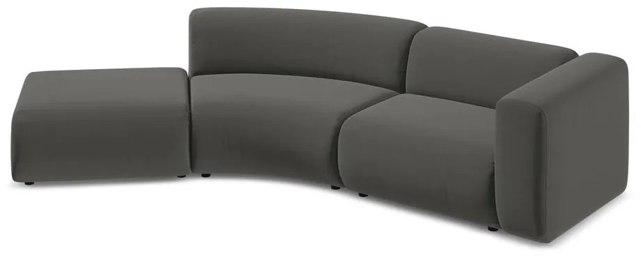 Sivá zamatová leňoška (ľavý roh) Ekahi – Makamii