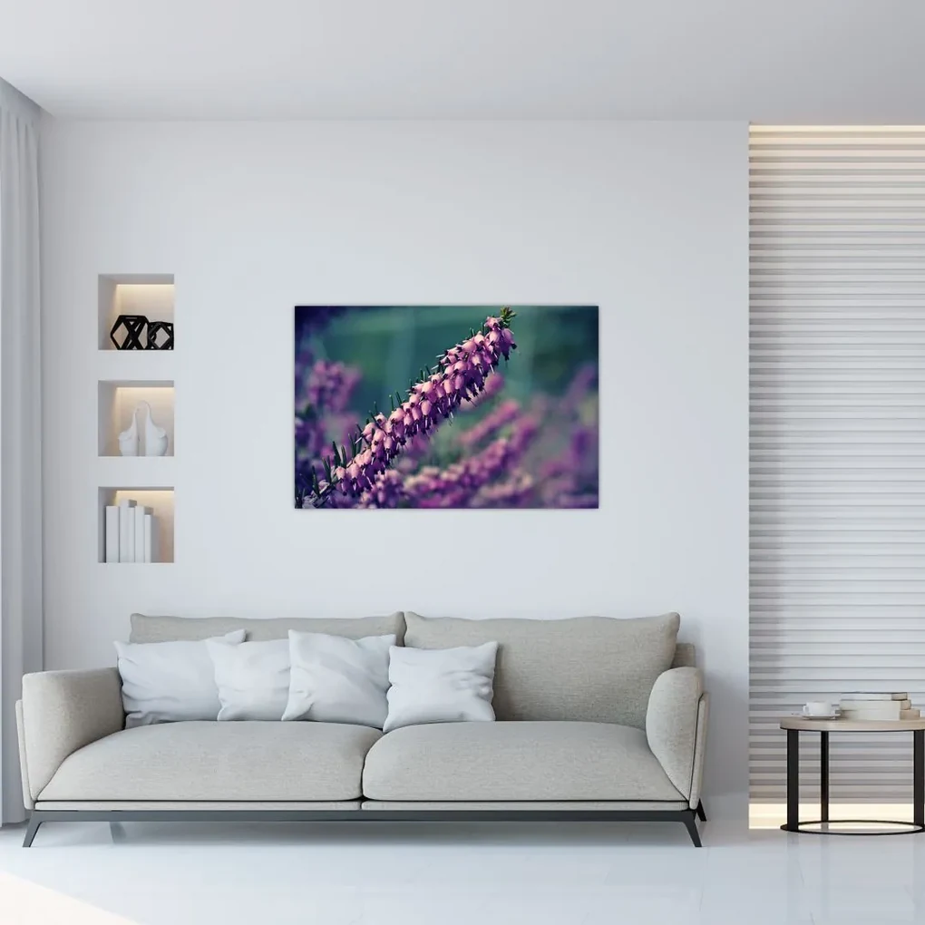 Obraz levandule (90x60 cm)