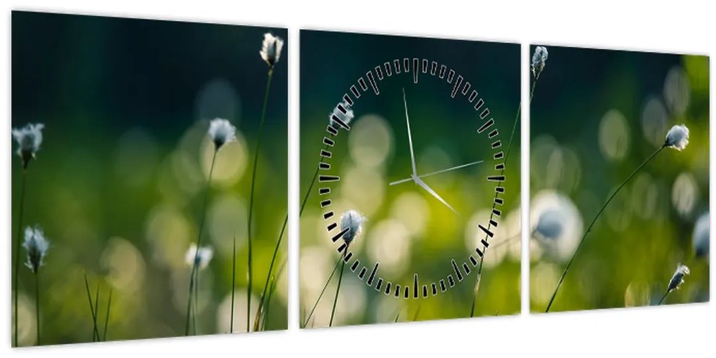 Obraz - Tráva (s hodinami) (90x30 cm)