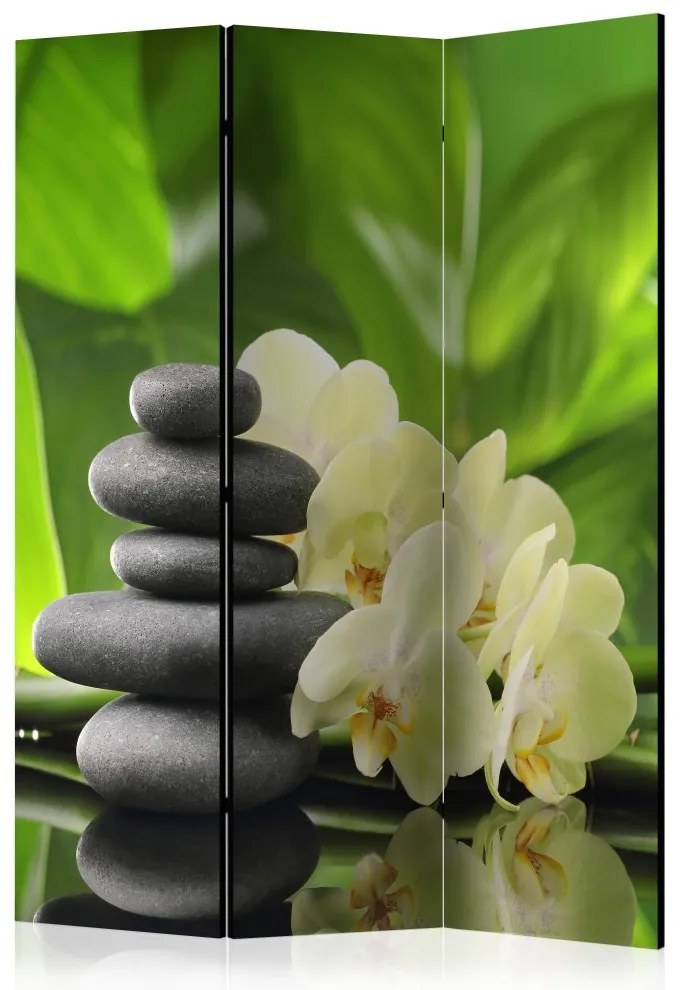 Artgeist Paraván - Spa Garden [Room Dividers]