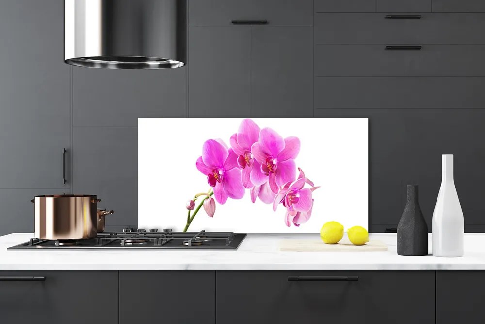 Sklenený obklad Do kuchyne Vstavač kvet orchidea 125x50 cm