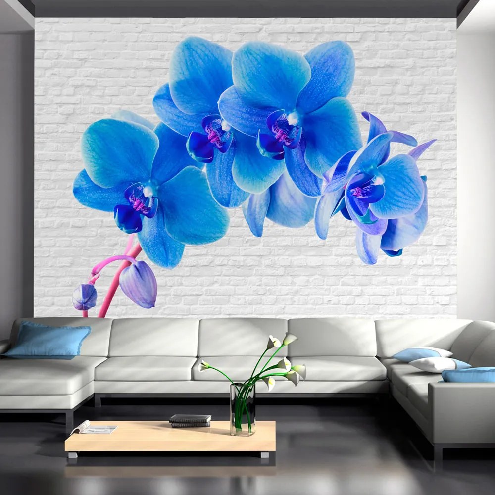 Fototapeta - Modrá orchidea 400x280 + zadarmo lepidlo