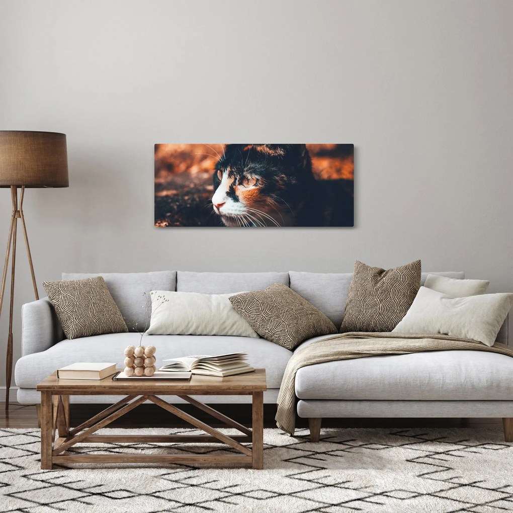 Obraz - Pohľad mačky (120x50 cm)