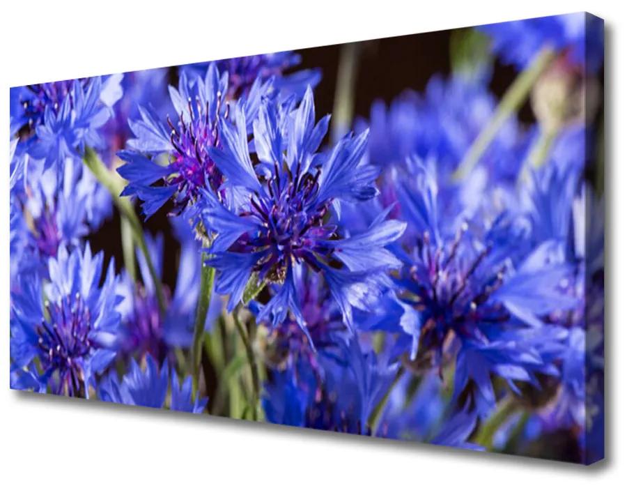Obraz Canvas Kvety rastlina príroda 140x70cm