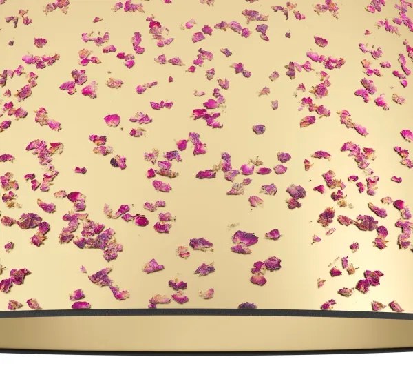 Eglo 390291 - Stropné svietidlo CASTUERA 1xE27/25W/230V zlatá/ružová