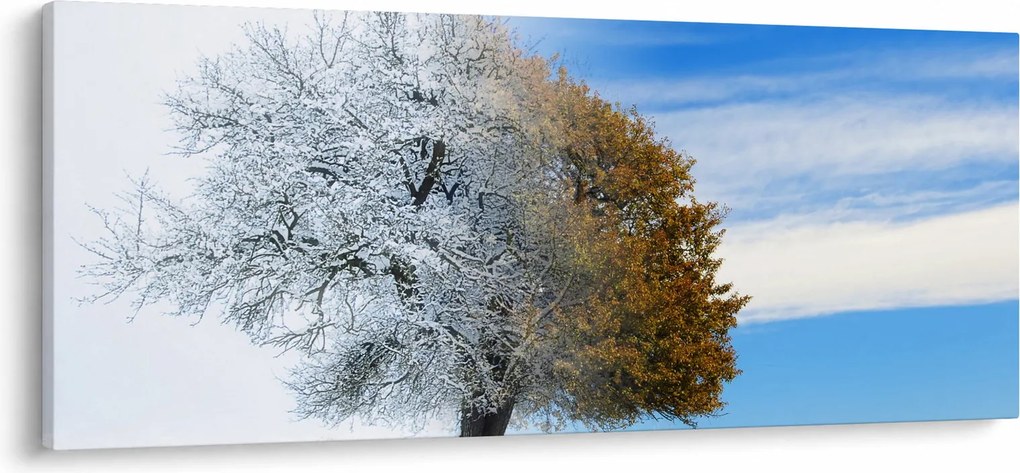 Obraz - Zmena ročného obdobia (120x50 cm)