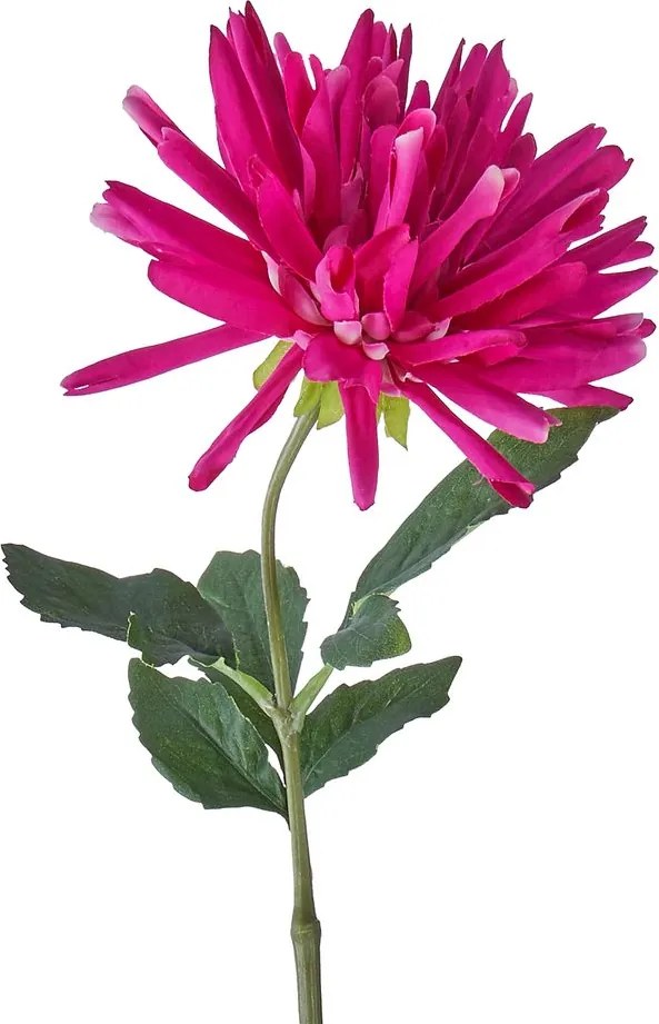 FLORISTA Georgína 59 cm - tm. ružová
