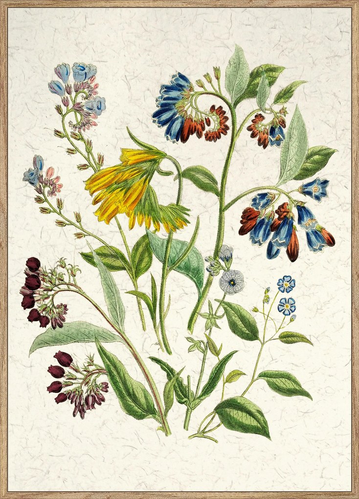 XXXLutz UMELECKÁ TLAČ, kvety, 51,2/71,2 cm Monee - Obrazy - 0031370187
