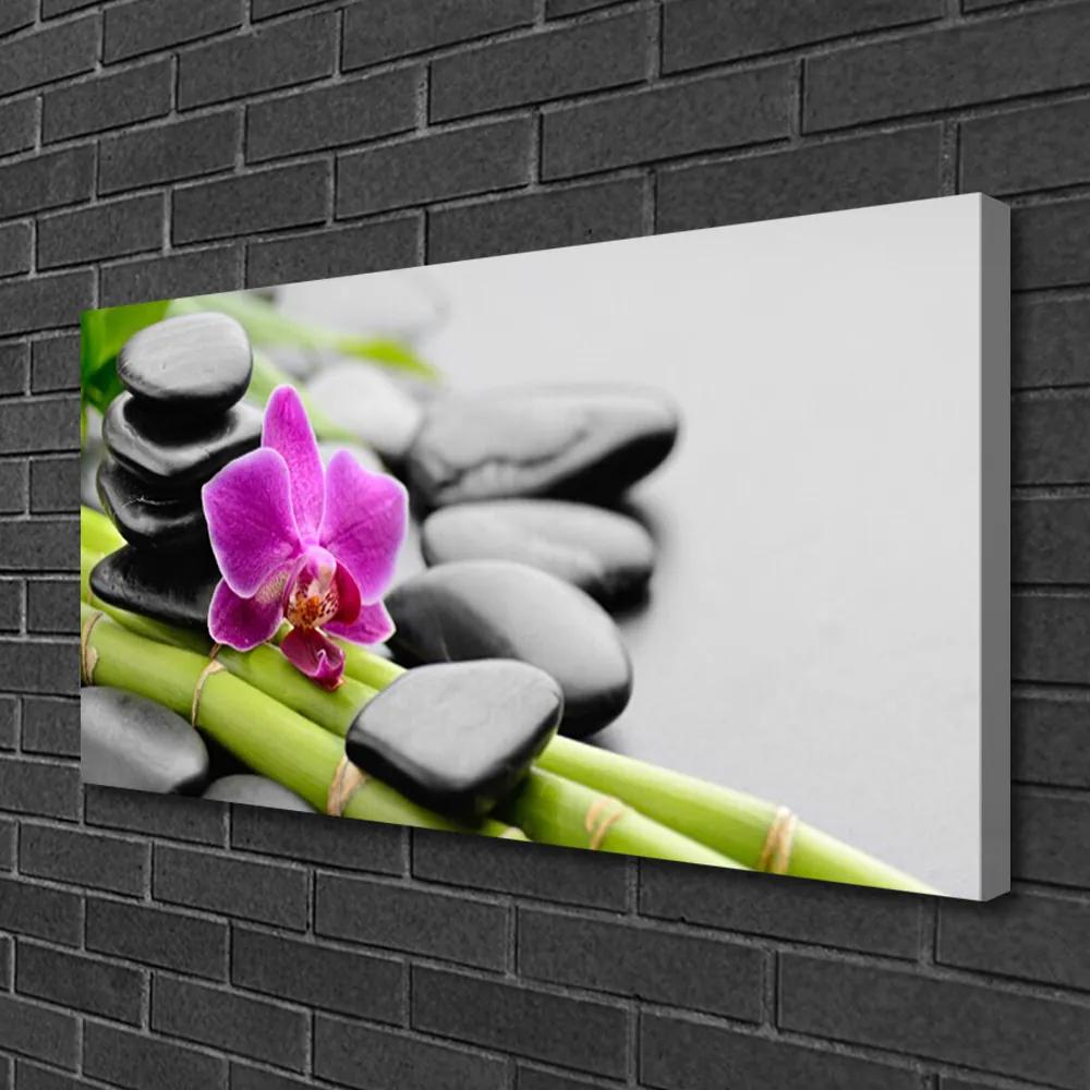 Obraz Canvas Bambus kvet kamene umenie 125x50 cm