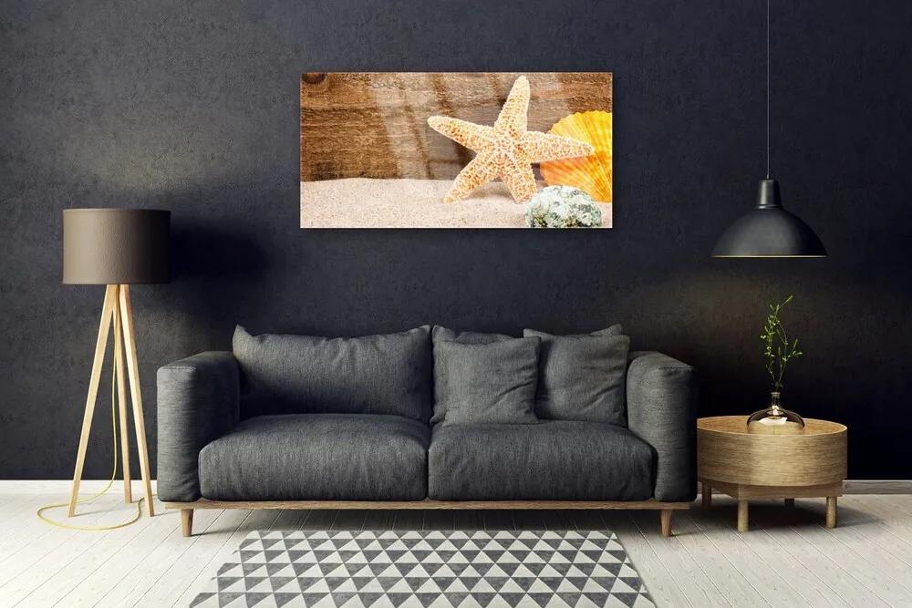 Obraz plexi Piesok hviezdica umenie 100x50 cm
