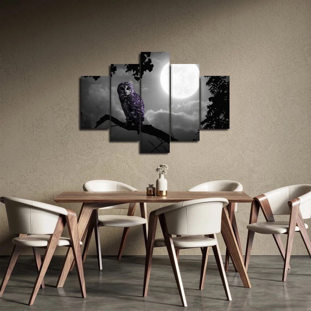 Obraz - Nočná sova, fialová sova (150x105 cm)