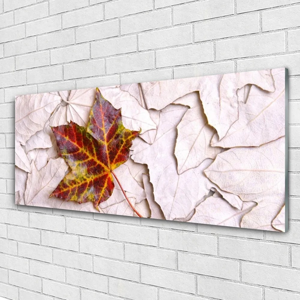 Obraz na akrylátovom skle Listy rastlina 125x50 cm