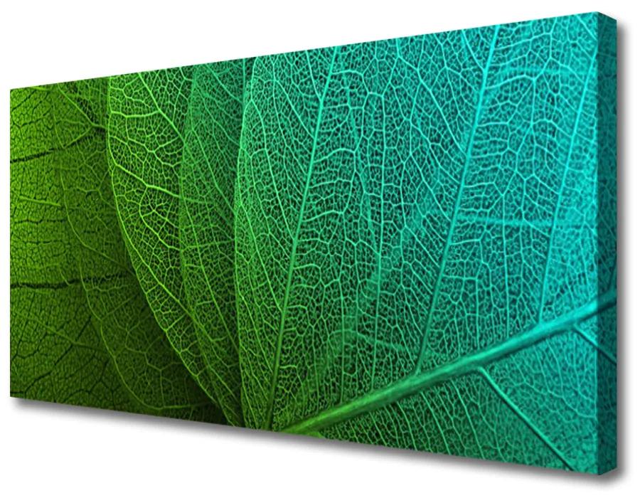 Obraz na plátne Abstrakcie listy rastlina 140x70 cm