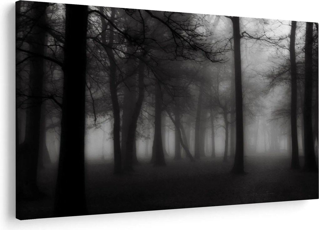Obraz - Les v hmle (90x60 cm)