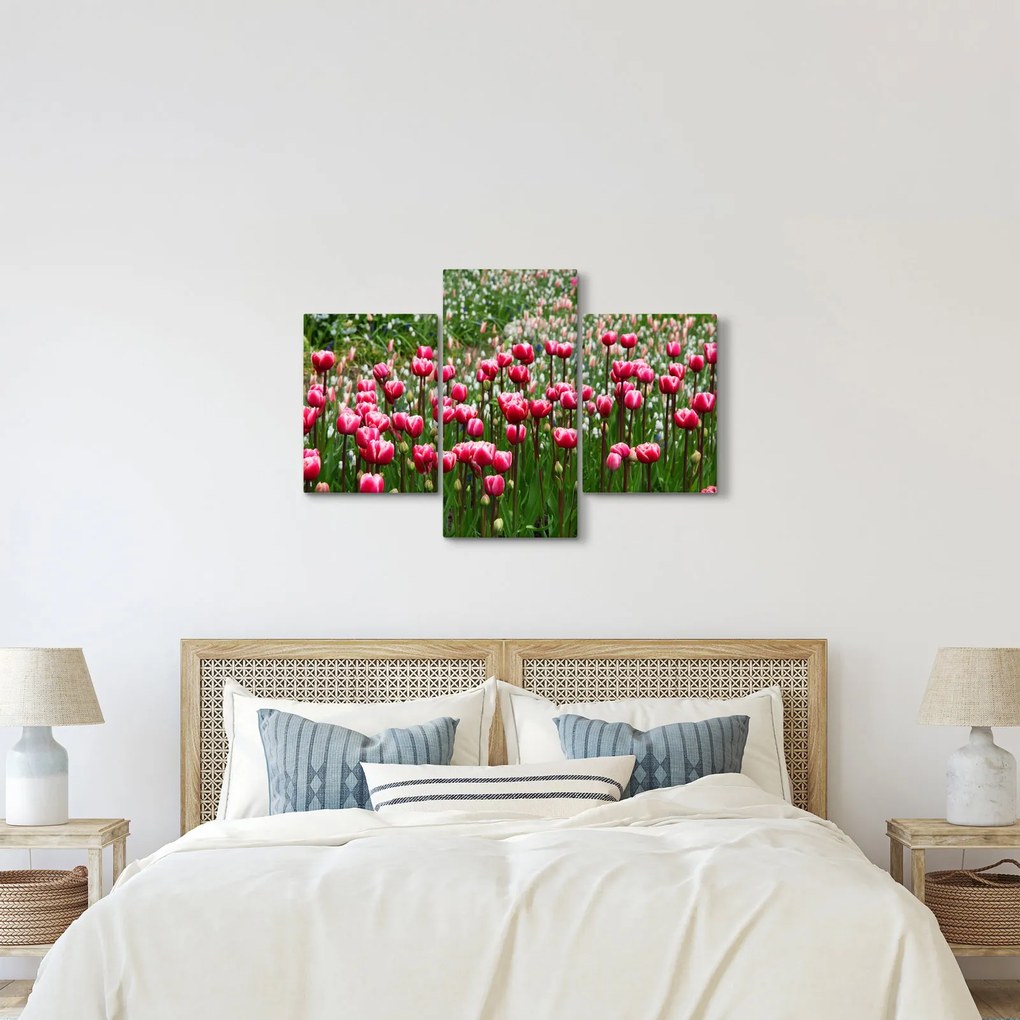Obraz tulipánov (90x60 cm)