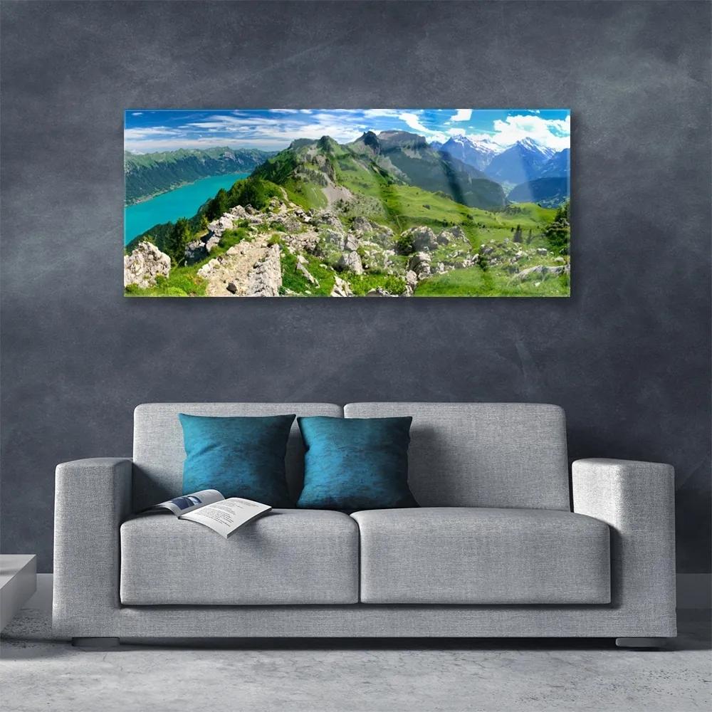 Obraz plexi Lúka hory príroda príroda 125x50 cm