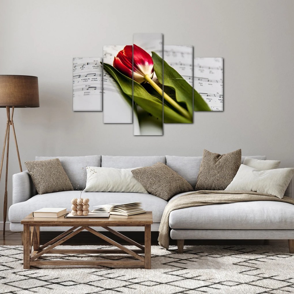 Obraz červeného tulipánu (150x105 cm)