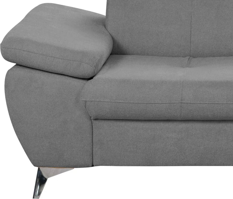 Dvojsedák Gisele, stredne šedá