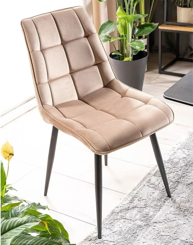Stolička Chic Velvet béžová – čierne nohy
