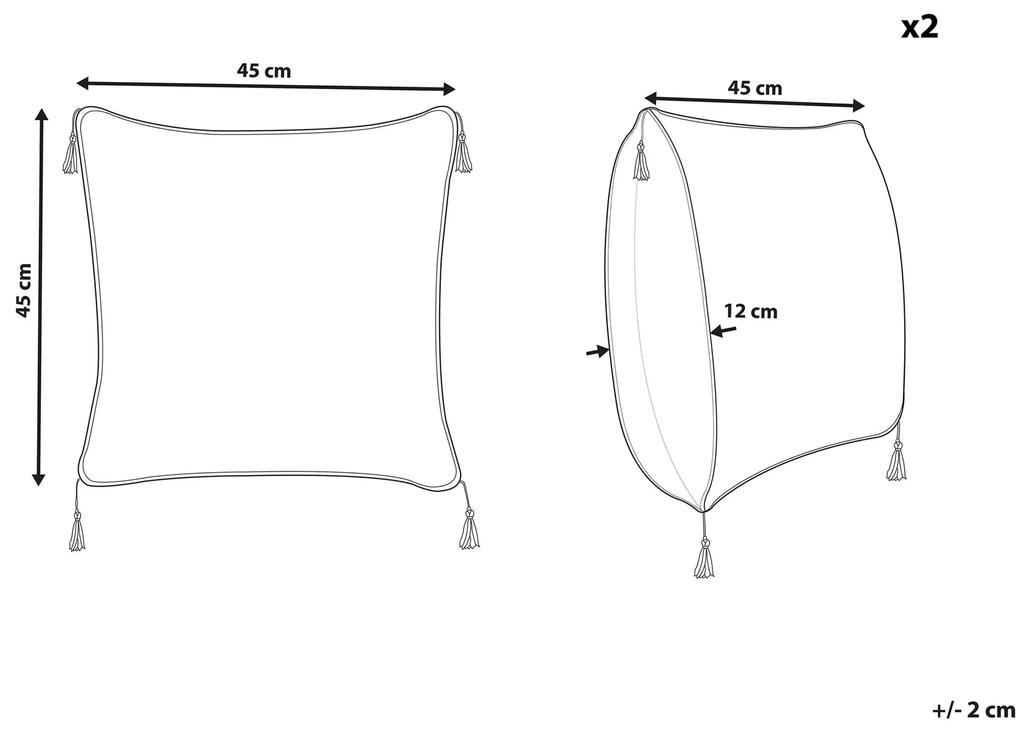 Sada 2 vankúšov s geometrickým vzorom so strapcami 45 x 45 cm strieborná CAMELLIA Beliani