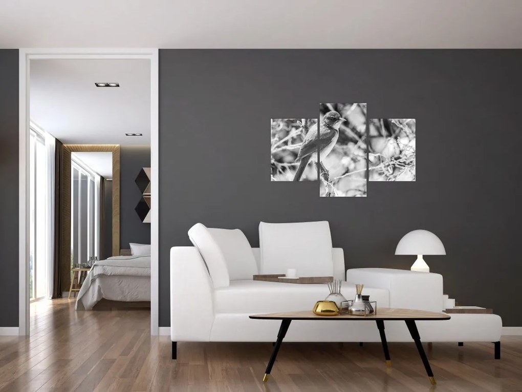 Obraz - Modrý vták v zime (90x60 cm)
