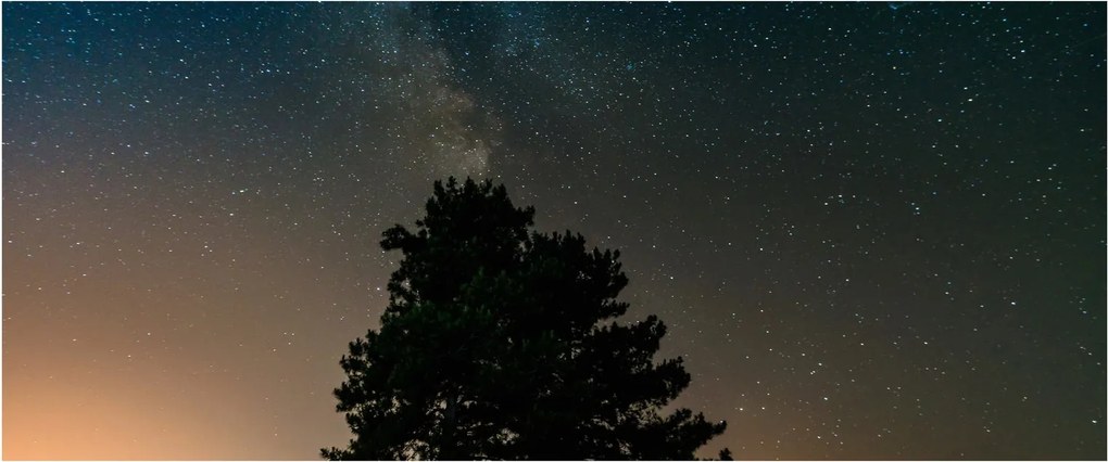 Obraz nočnej oblohy so stromami (120x50 cm)