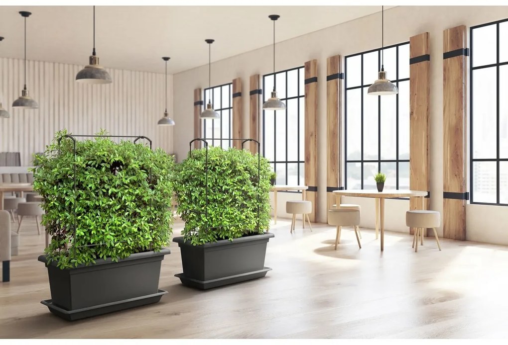 Gardenico Vertikálna podpera Green Wall Magnus, 80 cm, 80 cm