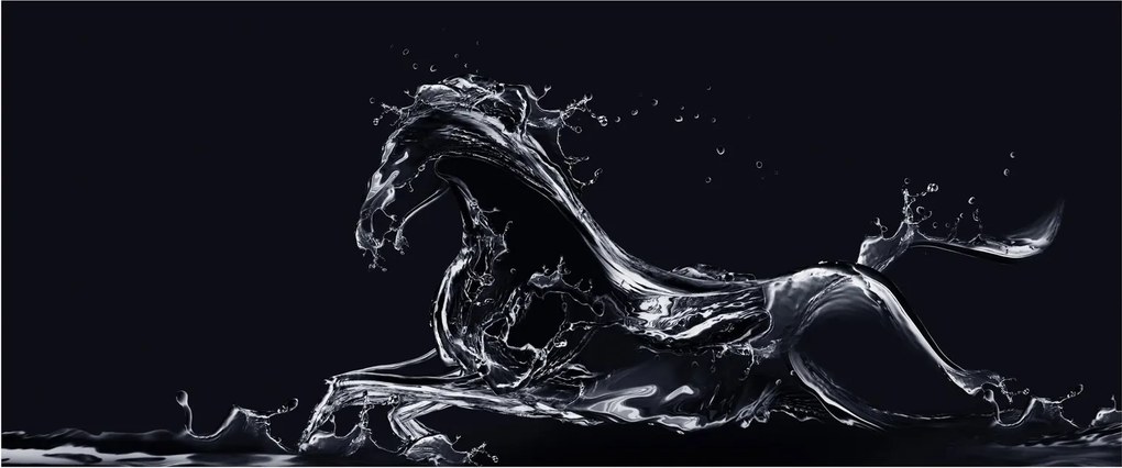 Obraz - Kôň a voda (120x50 cm)