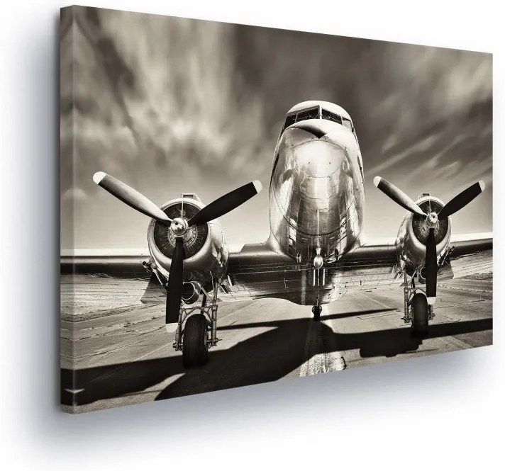 GLIX Obraz na plátne - Black and White Plane II 100x75 cm