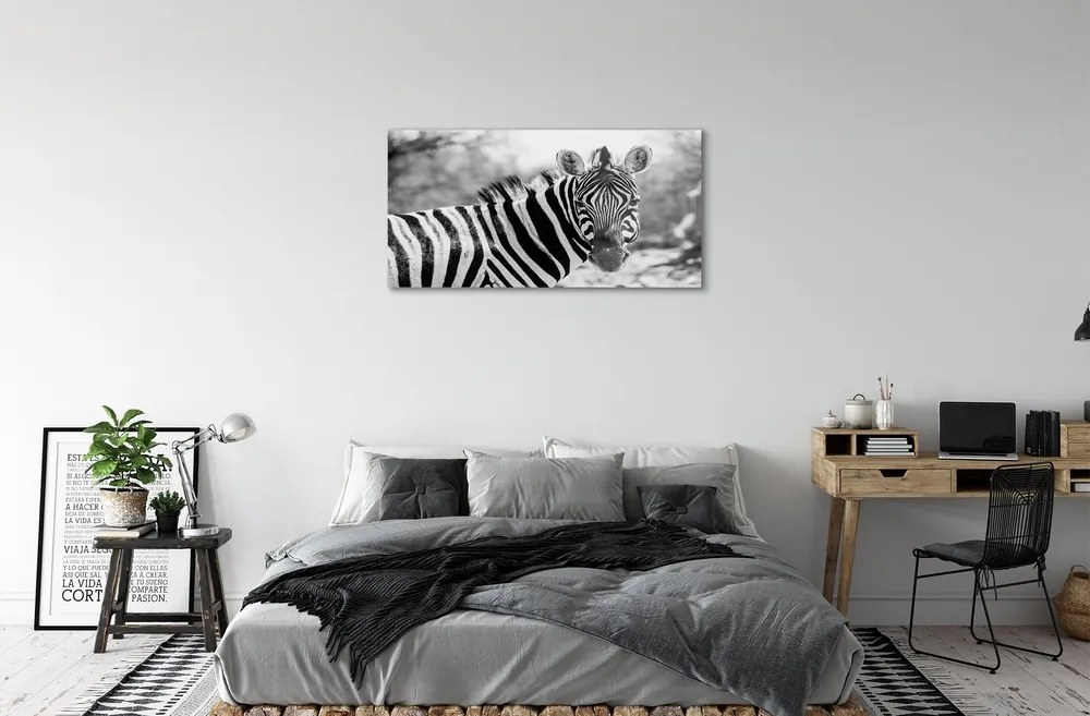 Sklenený obraz retro zebra 120x60 cm