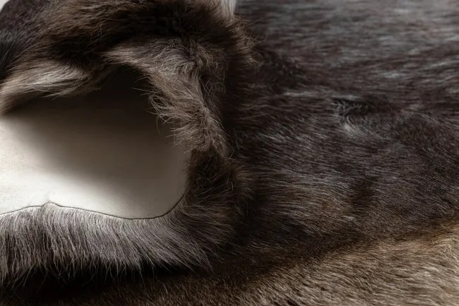 Koberec RENIFER POK018 hnedý / sivý