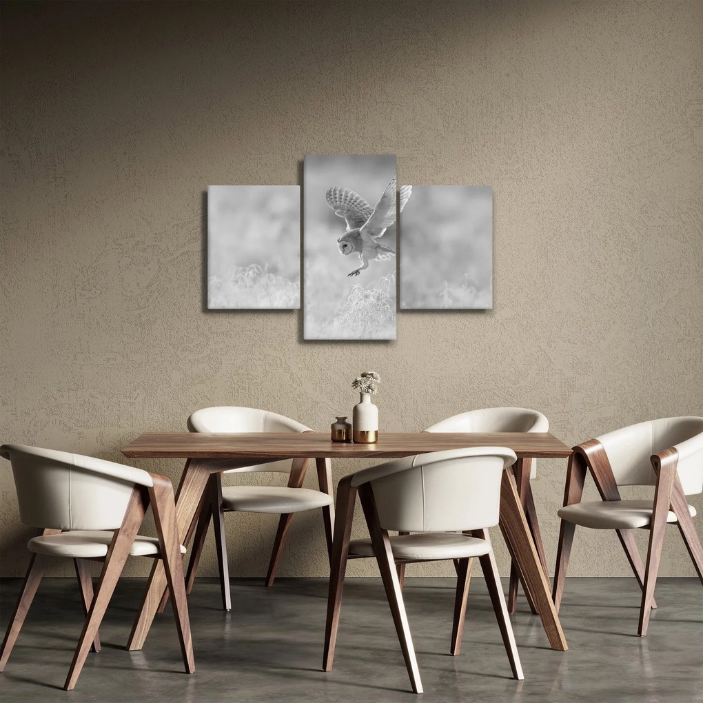 Obraz - Sova, čiernobiela (90x60 cm)