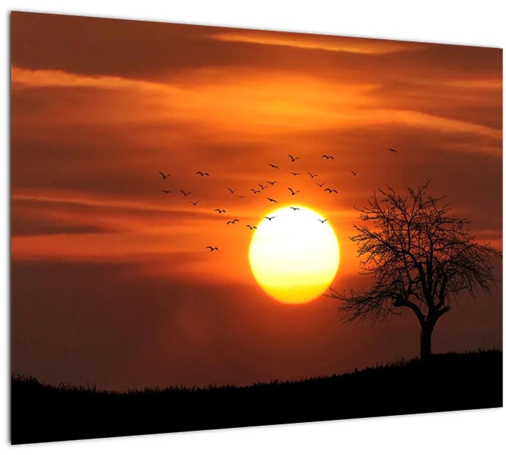 Obraz - Západ slnka (70x50 cm)