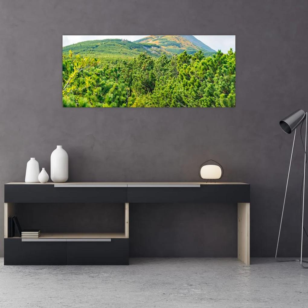 Obraz - Babi Hora, Poľsko (120x50 cm)