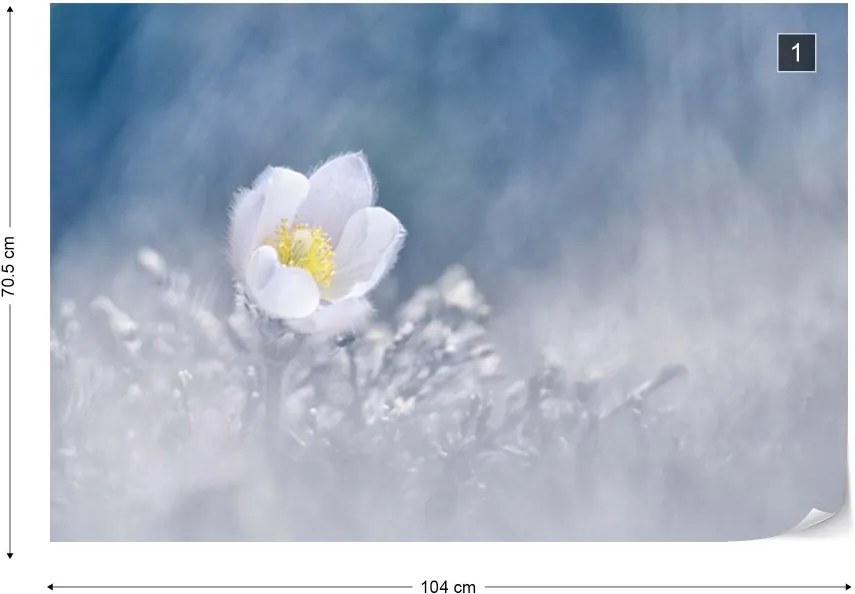 Fototapeta GLIX - Mountain Flower + lepidlo ZADARMO Vliesová tapeta  - 104x70 cm