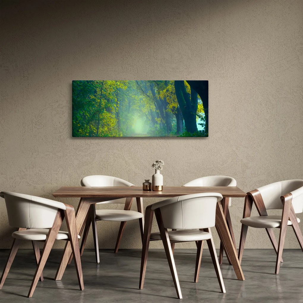 Obraz cesty lemovanej stromami (120x50 cm)