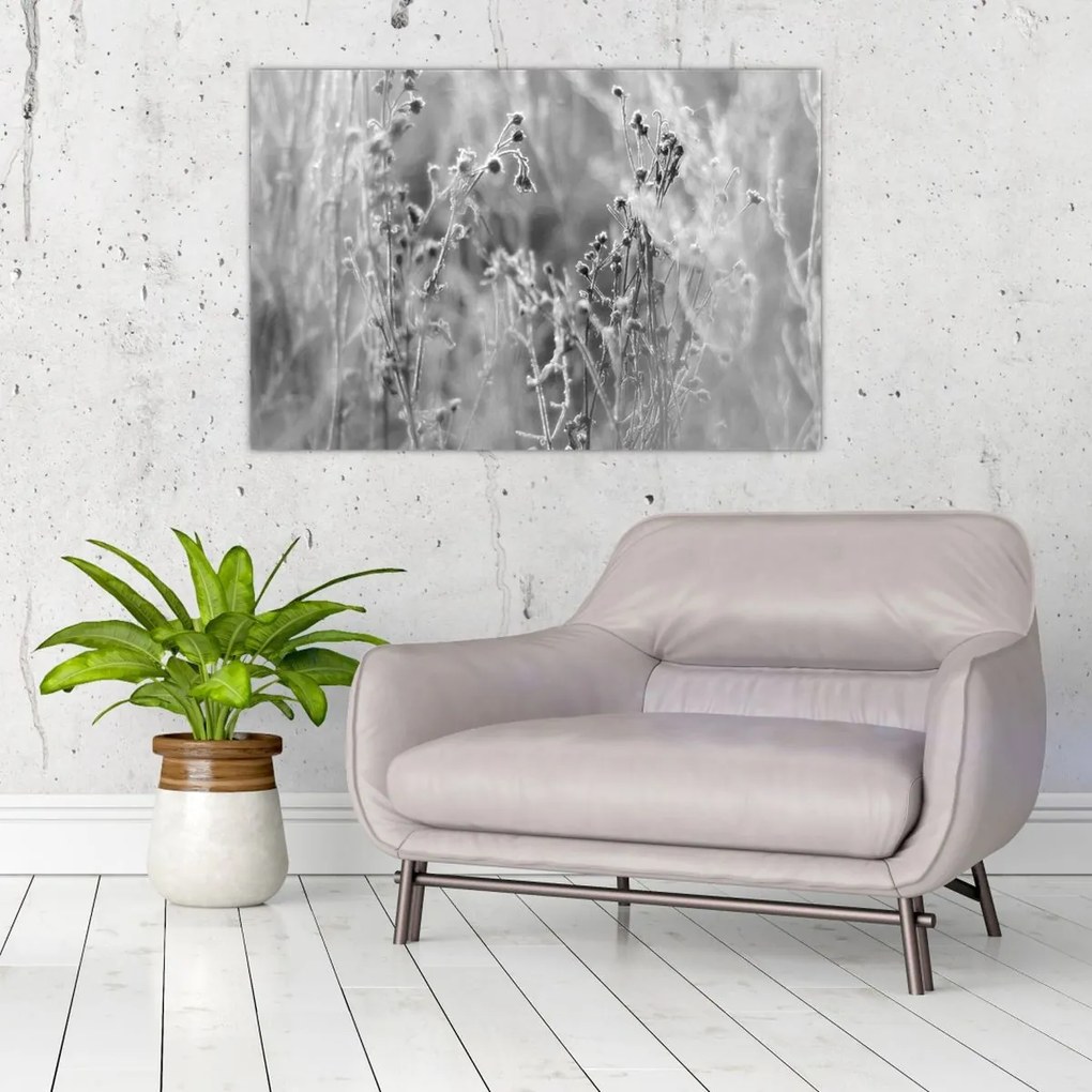 Obraz - Divoká lúka (90x60 cm)
