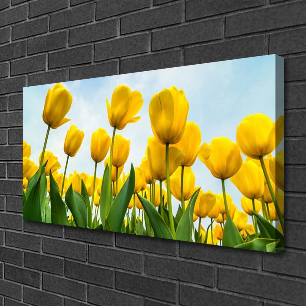 Obraz Canvas Tulipány kvety rastlina 125x50 cm