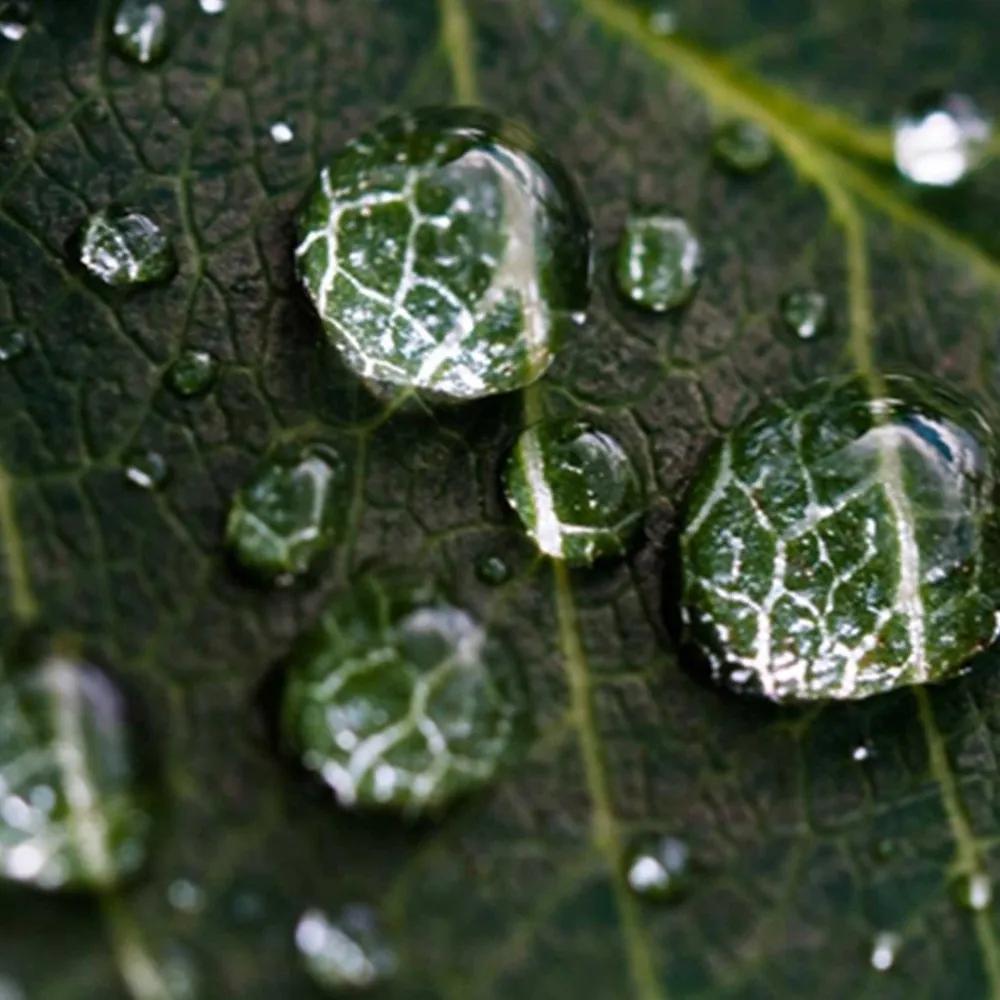 Ozdobný paraván Zelené listy kapky vody - 110x170 cm, trojdielny, obojstranný paraván 360°