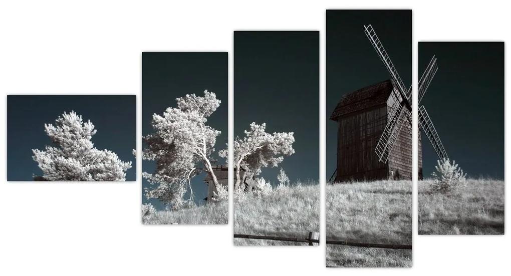 Veterný mlyn, obraz