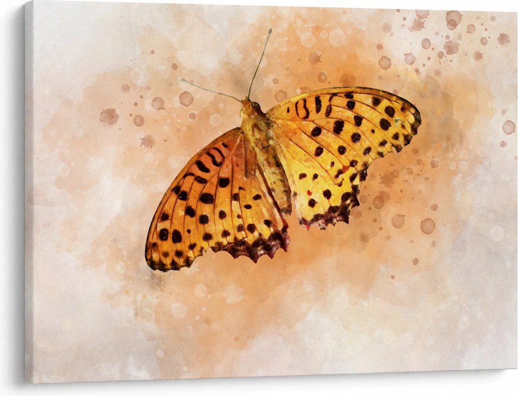 Obraz - Oranžový motýľ, aquarel (70x50 cm)