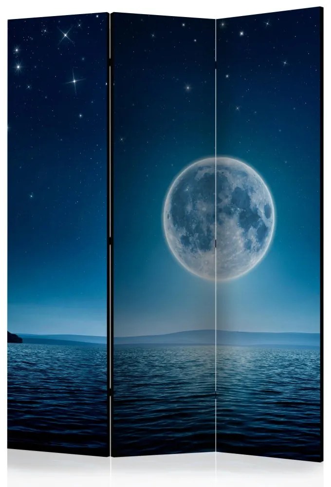 Artgeist Paraván - Moonlit night [Room Dividers]
