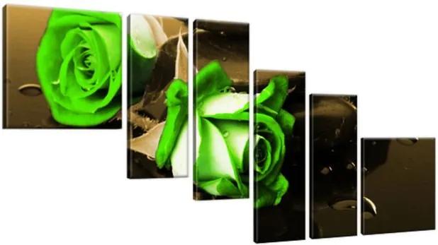 Obraz na plátne Zelené ruže a kamene 220x100cm 1423A_6D